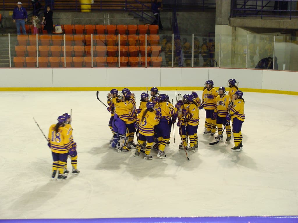 CCM FitLite 아이스하키 헬멧