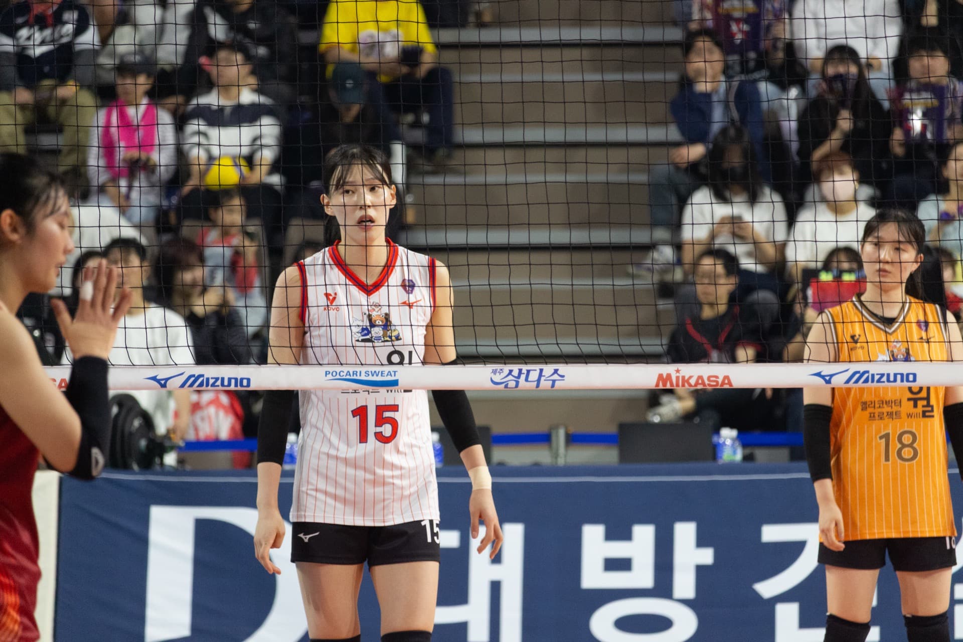 배구 매치 - 배구 로테이션 정기 세션